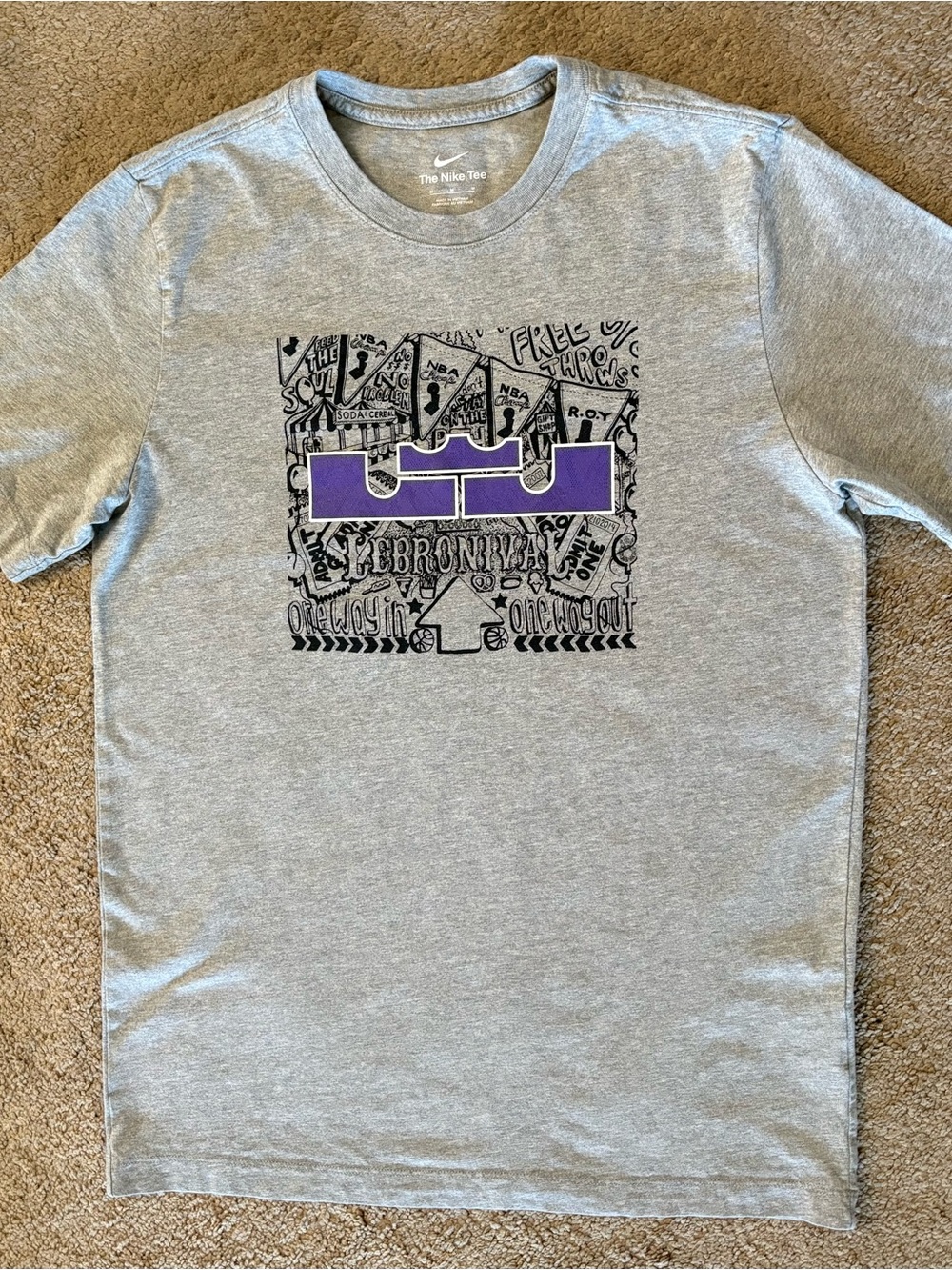 Nike LeBron James LeBronival Men’s Gray T-Shirt size M Purple Crown
